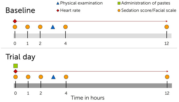 Timeline showing interventions for each cannabidiol (CBD) oral medication trial. Upper panel, day before trial start. Lower panel, trial day. Trials were repeated three times with single administration of escalating CBD doses (0.2 mg CBD/kg BW; 1 mg CBD/kg BW; 3 mg CBD/kg BW) and wash-out periods of minimum seven days in between trials.