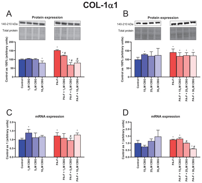 The influence of cannabigerol (CBG), in a concentration-dependent manner, on the collagen type 1 alpha 1 (COL-1α1) protein expressions (A,B), mRNA expressions (C,D) in the hepatocytes exposed to standard media (Control), or palmitate and fructose media (PA-F). The cells were treated with different concentrations of CBG for 48 h. The COL-1α1 protein and mRNA expression assays were carried out using the Western blot and RT-PCR techniques, respectively. The data are expressed as mean ± SD of six independent determinations and presented as a percentage of COL-1α1 changes relative to the Control (set as 100% for Western blot and as 1 for RT-PCR). Significant differences are indicated in comparison with the Control group (* p < 0.05) and PA-F group (# p < 0.05).