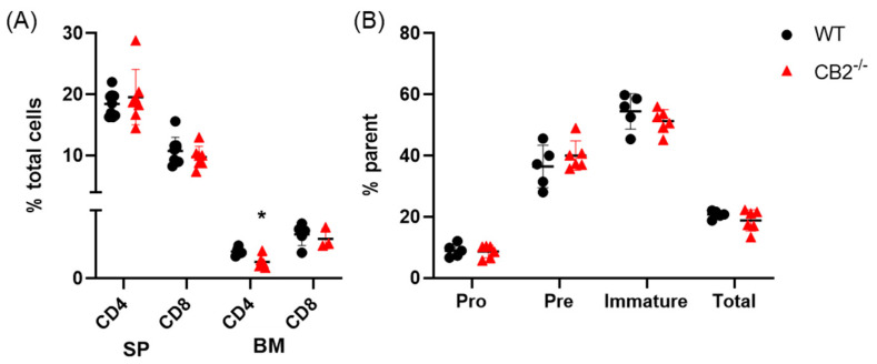 CB2-/- male mice exhibit similar lymphoid cell populations in the spleen and bone marrow. (A) Relative frequency of CD4+ and CD8+ T cells in the spleen (SP) and bone marrow (BM). (B) Relative frequency of pro-B cells (B220+ IgM− CD43high) and pre-B cells (B220+ IgM− CD43low), immature (B220+ IgM+) and total B cells (B220+) in the bone marrow. All values expressed as percent of total cells or parent population as indicated. WT, n ≥ 4; CB2-/-, n ≥ 4. Student’s t test, * p < 0.05.