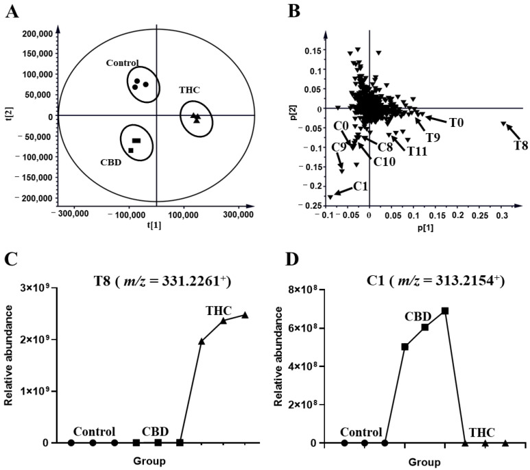 Metabolomic analysis of THC and CBD in the HLM incubation system. (A) Scores plot of unsupervised PCA showing the control (●), CBD (■), and THC (▲) treated HLM profiles (n = 3). (B) Loading scatter plot for the control, THC, and CBD treated HLM profiles (n = 3). Partial THC (T0, T4, T8–T9, T11, T17) and CBD (C0, C1, C8, C9, C10) metabolites are labeled in the Loading Scatter plot. The trend plot of T8 (C) and C10 (D) was showed in the control, CBD, and THC groups.