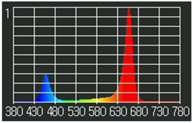 Spectral analysis of the LED lights. Relative spectrum of light emitted by the LEDs that were implemented throughout experimentation. LEDs used had peak wavelengths of blue (456 nm) and red (657 nm), with some white LEDs for a broad spectrum. Spectral analysis was obtained using a Li-Cor LI-180.
