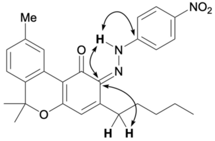 Key HMBC correlations for 8.