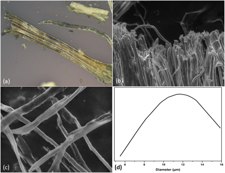 Hemp fiber observed under optical microscope and SEM: (a) RH, (b) AH (d) CMf and (d) CMf diameter.