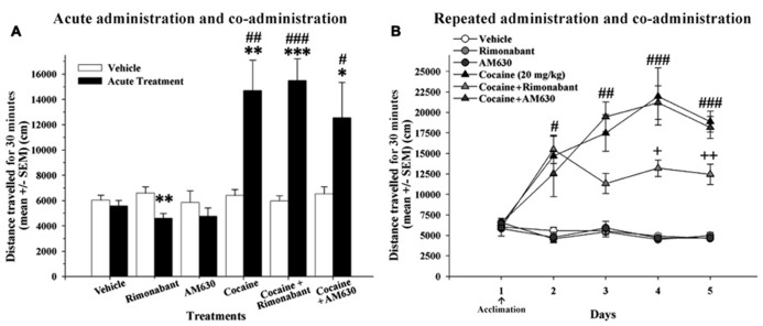 (A) Effects of acute administration of cocaine and co-administration of cocaine (20 mg/kg) and Rimonabant (3 mg/kg) or AM630 (3 mg/kg) in the OF test. The acute cocaine-treated groups (cocaine, cocaine + Rimonabant and cocaine + AM630) exhibited significant increases in locomotor activity compared to the previous vehicle administration on day 1 (*P < 0.05, **P < 0.01, ***P < 0.001) and compared to the vehicle group (#P < 0.05, ##P < 0.01, ###P < 0.001). (B) The effects of repeated administration of cocaine and co-administration of cocaine (20 mg/kg) and Rimonabant (3 mg/kg) or AM630 (3 mg/kg) in the OF test. The repeated cocaine-treated groups (cocaine, cocaine + Rimonabant and cocaine + AM630) exhibited greater locomotion than did the groups that did not receive cocaine (vehicle, Rimonabant and AM630) on days 2 (#P < 0.05), 3 (##P < 0.01), 4 and 5 (###P < 0.001). The cocaine + Rimonabant group exhibited reduced horizontal locomotion on days 4 and 5 compared to the other repeated cocaine-treated groups (cocaine and cocaine + AM630; +P < 0.05, ++P < 0.01). All results are presented as the means ± the SEMs (n = 8/group).