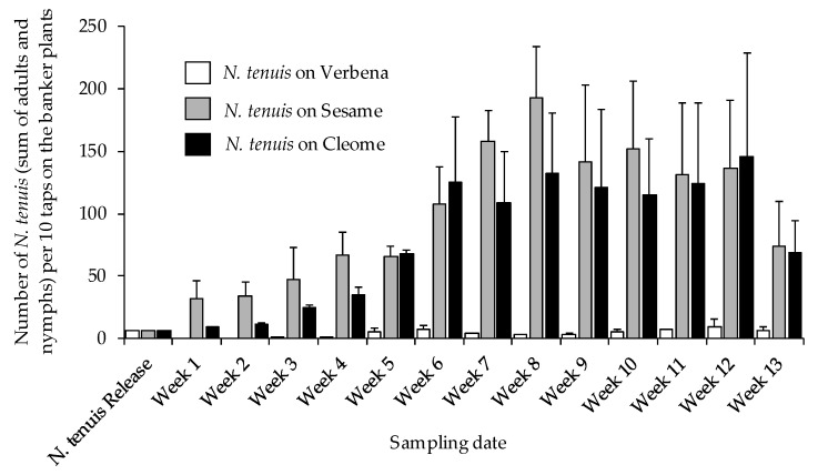 Mean (±SD) number of Nesidiocoris tenuis (including nymphs and adults) on banker plants; Verbena (Verbena terena cv. Tapian), Sesame (Sesamum indicum), and Cleome (Cleome spinosa).