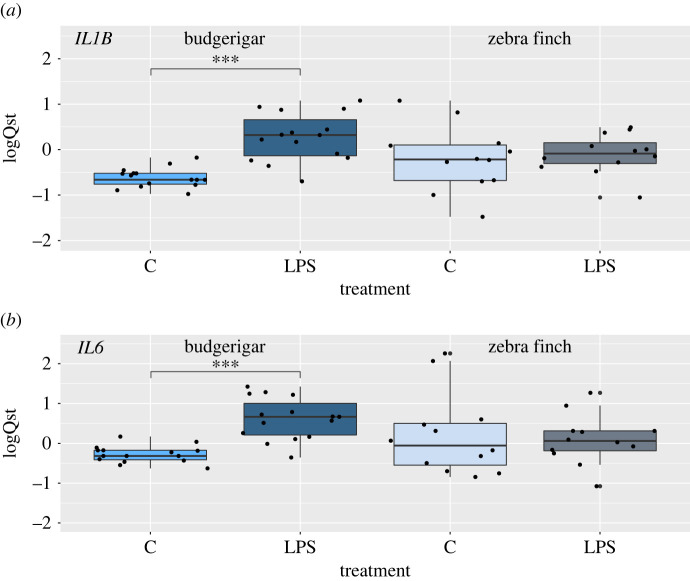 Expression of (a) IL1B and (b) IL6 following peripheral stimulation with LPS in the brains of budgerigars and zebra finches. Gene expression assessed based on RT-qPCR is shown as centred standardized relative expression (logQst) values, i.e. species population average is equal to 0. C = controls, LPS = LPS-stimulated treatments. Statistically significant differences (p ≪ 0.001; electronic supplementary material, table S11 in SM1) are marked with asterisks. (Online version in colour.)