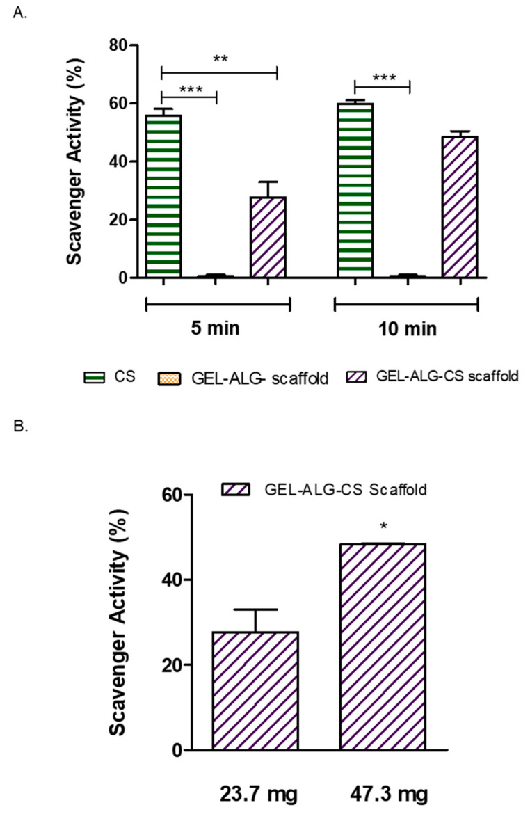 (A) Antioxidant activity of Cannabis sativa oil extract (CS), GEL–ALG scaffold and GEL–ALG–CS scaffold calculated as the % inhibition of DPPH radical at 5 and 10 min. (B) Antioxidant activity of GEL–ALG–CS scaffold calculated as the inhibition percentage of DPPH radical at different scaffold masses. Results are expressed as mean ± SD from triplicate experiments. * p < 0.05 ** p < 0.01 *** p < 0.001.