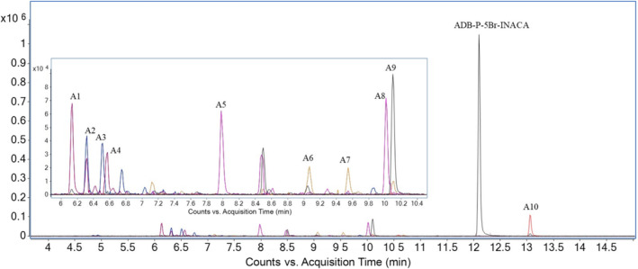 Overlayed extracted ion chromatograms (EIC) form human hepatocytes (HHep) of ADB‐P‐5Br‐INACA and all its identified metabolites marked with the corresponding metabolite IDs.