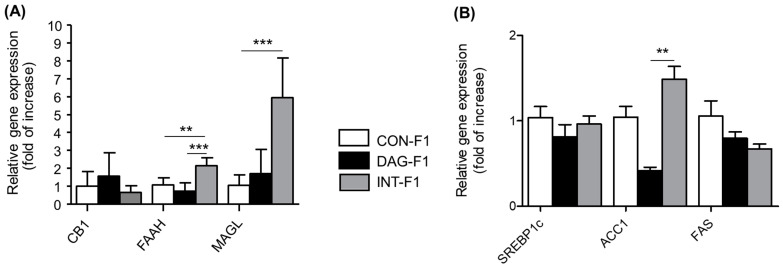 Hepatic gene expression of ECS components (A) and RCB1 target genes (B) in F1 (offspring) according to the mother’s diet (n = 5 CON group, n = 5 HFD group, and n = 5 INT group). Cq values were normalized by the geometric mean of reference target (β-actin gene). Changes are shown in relation to the values in the control group. Data are presented as mean ± SEM, analyzed with Kruskal–Wallis, Dunn’s post-hoc. ** p = 0.0015, *** p < 0.0001.