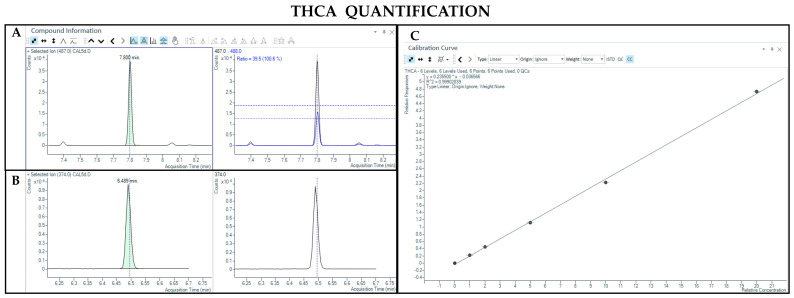 Chromatograms obtained by GC-MS analysis with derivatization and the qualifier ratio related to THCA (A) and Δ9-THC-d3 used as the IS (B). Calibration curve built for THCA quantification (C).