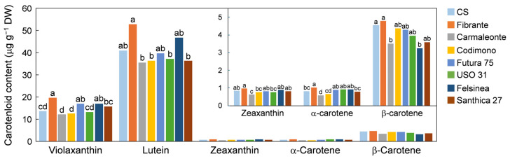 Sprout carotenoid content across the eight genotypes investigated. For each compound, different lower-case letters above the bars indicate significant differences among genotypes according to Tukey’s HSD test (p < 0.05).