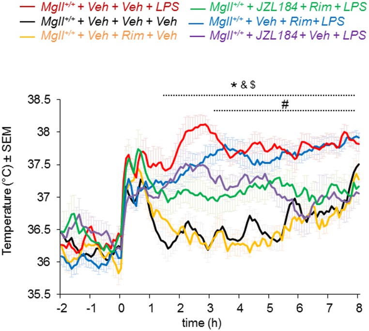 Anti-pyrogenic effects of MAGL inhibitors are independent of CB1 cannabinoid receptor activity.CBT profile following i.p. injection of LPS (100 μg/kg) of Mgll +/+ mice receiving i.p. injection of rimonabant (1 mg/kg) and/ or JZL184 (40 mg/kg). Rimonabant did not affect the hypothermic effects of JZL184. Data are shown as mean ± sem, n = 6 mice per group, *p<0.05, Mgll +/++ Veh + Veh + Veh vs. Mgll +/++ Veh + Veh + LPS; #p<0.05, Mgll +/++ Veh + Veh + LPS vs. Mgll +/++ JZL184 + Veh + LPS; &p<0.05, Mgll +/++ Veh + Rim + LPS vs. Mgll +/++ Veh + Rim + Veh; $p<0.05, Mgll +/++ Veh + Rim + LPS vs. Mgll +/++ JZL184 + Rim + LPS. p>0.05 (NS) Mgll +/++ Veh + Veh + Veh vs Mgll +/++ Veh + Rim + Veh, Mgll +/++ JZL184 + Rim + LPS vs Mgll +/ + JZL184 + Veh + LPS, Mgll +/++ Veh + Veh + LPS vs Mgll +/++ Veh + Rim + LPS.