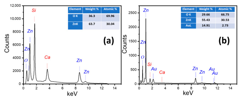 EDX patterns for nanostructured (a) pure ZnO and (b) Au/ZnO thin film.