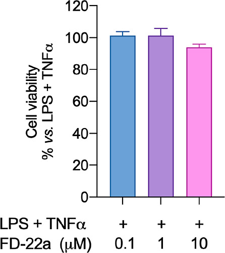 MTT assay performed with different concentrations of FD-22a. Data represent means ± S.E.M. from n = 3 independent experiments performed in triplicate. Statistical analysis was performed by ordinary one-way ANOVA followed by Tukey’s multiple comparison test.