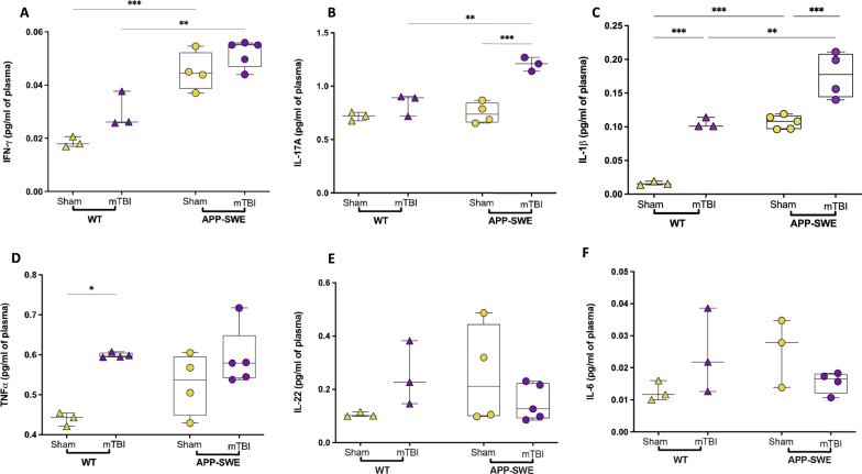 Plasmatic levels of pro-inflammatory cytokines in WT and APP-SWE mice (sham and mTBI). A interferon gamma (IFN-γ); B interleukin 17A (IL-17A); C interleukin 1 beta (IL-1β); D tumor necrosis factor alpha (TNFα); E interleukin 22 (IL-22) and F interleukin 6 (IL-6) expressed as pg/ml of plasma. Statistical analysis was performed by Two-way analysis of variance (ANOVA) followed by Tukey's multiple comparison test (*P ≤ 0.05; **P ≤ 0.01; ***P ≤ 0.001). Data are represented as boxplots with individual points