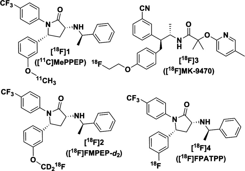 Chemical structures of [11C]1, [18F]2, [18F]3, and [18F]4.
