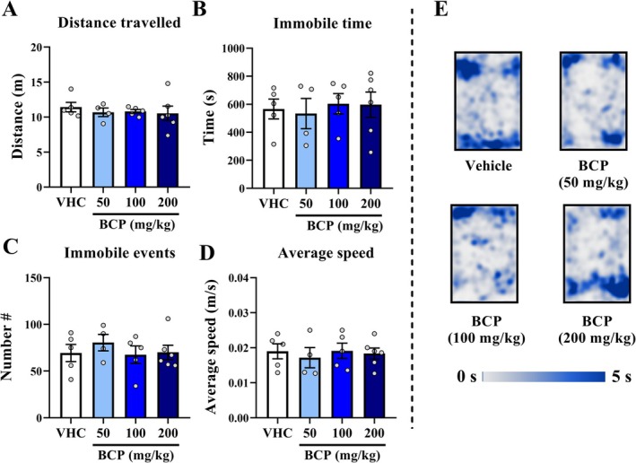 Locomotion results from acute pharmacological assay: The locomotion test was performed 20 min after VHC or BCP oral administrations and the test lasted 20 min, as well as the entries schedule were randomly between groups. (A) Distance travelled (m). (B) Immobile time (s). (C) Number of immobile events. (D) Average speed (m/s): calculated by distance travelled divided by mobile time. (E) Heat map of groups' trajectory. All data were expressed as mean ± SEM At all analyses, there are no significant differences between groups: p > 0.05.