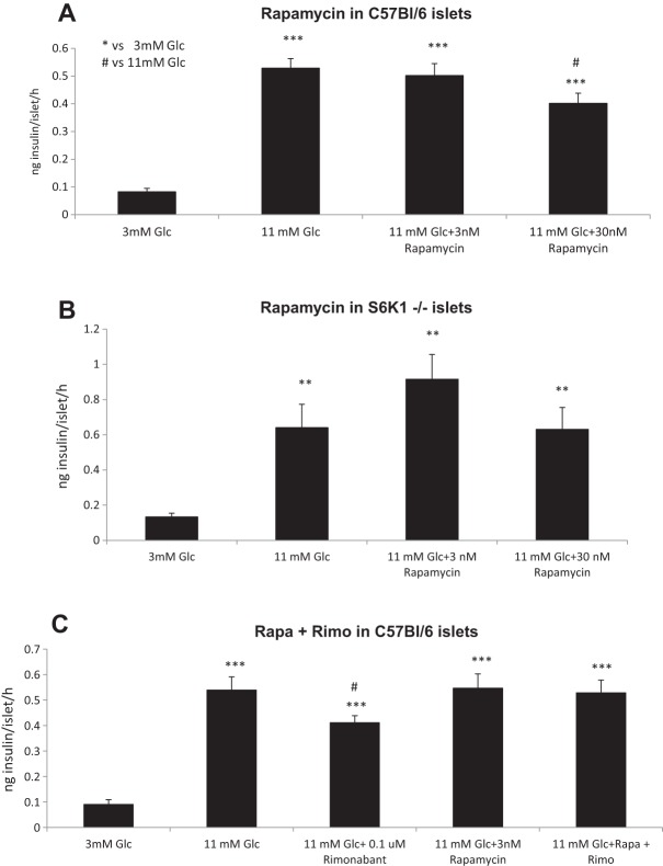 Rapamycin decreases GSIS in isolated islets of Langerhans through mTORC1 and prevents the rimonabant-induced decrease in GSIS. (A) 30 nM rapamycin decreased GSIS in isolated islets from C57BL/6 mice when compared to vehicle-treated, glucose-stimulated wells (11 mM Glc). (B) Rapamycin had no effect at these doses in isolated islets from S6K1−/− mice. Data from four independent experiments, two of each genotype, islets from 2-3 animals each experiment. n=5-6 well each experimental condition. **P<0.01 and ***P<0.001 vs 3 mM Glc, respectively; #P<0.05 vs 11 mM Glc; one-way ANOVA. (C) 0.1 µM rimonabant decreased GSIS in C57BL/6 isolated islets, whereas 3 nM rapamycin per se had no effect. However, 3 nM rapamycin pre-treatment prevented the rimonabant-induced decrease in GSIS. Data from two independent experiments, islets from 2-3 animals each experiment. n=5-6 well each experimental condition. ***P<0.001 vs 3 mM Glc; #P<0.05 vs 11 mM Glc; one-way ANOVA.