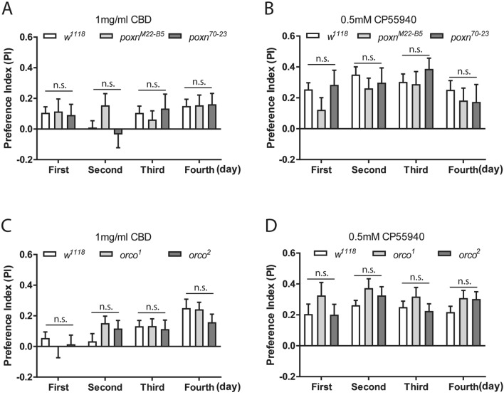 The preference for cannabinoids is independent of gustatory and olfactory regulators, Poxn and Orco, respectively. The preference for 1 mg/ml CBD and 0.5 mM CP55940 was measured in two poxn mutants (A,B) and orco mutants (C,D) over four consecutive days. Homozygous poxnΔM22-B5 and poxn70–23 mutants, and orco1 and orco2 mutants exhibited similar preference for CBD (A,C) and CP55940 (B,D) as compared to the control w1118 flies (n = 11–24 vials/ group). Data are represented as mean ± S.E.M. One-way ANOVA followed by Dunnett’s post-hoc test. n.s., not significant.
