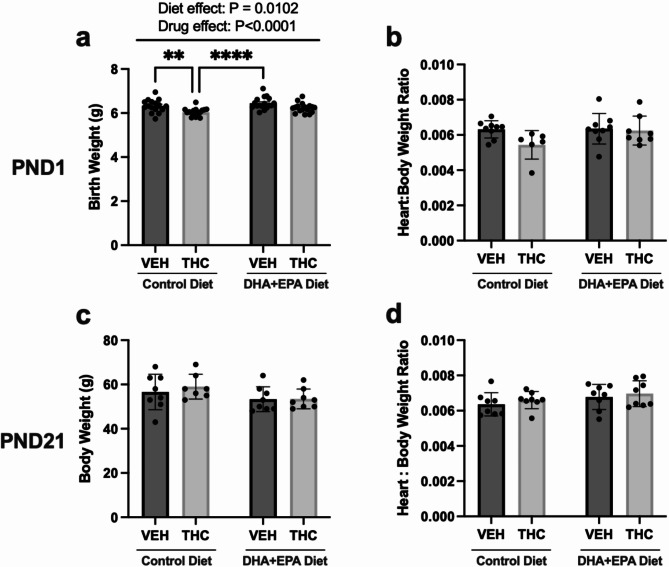 Maternal DHA + EPA-enriched diets ameliorate fetal growth deficits in THC-exposed offspring. (a) Postnatal day 1 (PND1) body weight, (b) PND1 heart to body weight ratio, (c) Postnatal day 21 (PND21) body weight, and (d) PND21 heart to body weight ratio. Each PND1 body weight data point represents an average of 3–4 pups from 1 dam, thus data is represented as means ± SEM. All other data represented as means ± SD, n = 6–9/group for PND1 heart: body weight, n = 7–8/group for all PND21 weight analysis. For graph (b), (c), and (d), each data point represents an offspring from a single and different dam. Significance was determined by a two-way ANOVA post-hoc Tukey’s, **P < 0.01,****P < 0.0001. Significant diet effect (control diet vs. DHA + EPA diet), drug effect (VEH vs. THC) and interaction are labelled at the top of the respective graphs, where applicable.