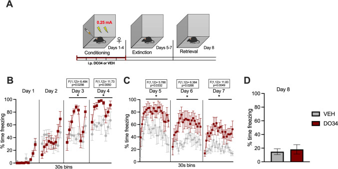 Pharmacological inhibition of DAGL during submaximal conditioning enhances fear learning and impairs within-session learning of extinction in female mice. (A) Schematic diagram of the experimental paradigm. (B) Percentage of time spent freezing during the acquisition of contextual fear when DO34 (50 mg/kg) was injected IP 2 h before each session. (C) Percentage of time spent freezing during extinction of contextual fear in the absence of drug treatment. (D) Percentage of time spent freezing during retrieval session. All values are presented as mean ± SEM (n=7 female mice per condition)