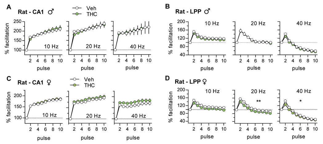 Adolescent THC treatment had little effect on frequency facilitation (FF) in rat S—C (CA1) and LPP systems. (A,B) In slices from adult male rats given vehicle (Veh) or THC during adolescence, response profiles were comparable for S—C (A; 10 Hz: p = 0.87, F(9,135) = 0.51; 20 Hz: p = 0.98, F(9,135) = 0.29; 40 Hz: p = 0.99, F(9,135) = 0.12. Veh N = 10, THC N = 7) and LPP (B; 10 Hz: p = 0.86, F(9,117) = 0.52; 20 Hz: p = 0.99, F(9,117) = 0.13; 40 Hz: p = 0.69, F(9,117) = 0.72. Veh N = 7, THC N = 8) systems. (C,D) THC did not influence FF of the female S—C system (C; 10 Hz: p = 0.98, F(9,234) = 0.29, N = 14/group; 20 Hz: p = 0.92, F(9,225) = 0.42, Veh N = 11, THC N = 13; 40 Hz: p = 0.43, F(9,234) = 1.01, N = 14/group) and only modestly depressed LPP FF with 20 and 40 Hz stimulation (D; 10 Hz: p = 0.06, F(9,270) = 1.88; 20 Hz: **p = 0.009, F(9,270) = 2.53; 40 Hz: *p = 0.01, F(9,270) = 2.39, N = 16/group). N values are slices per group; mean ± SEM values shown. Statistics used RM-ANOVA (Interaction). Raw values are reported in Suppl. Figs. 1,2.
