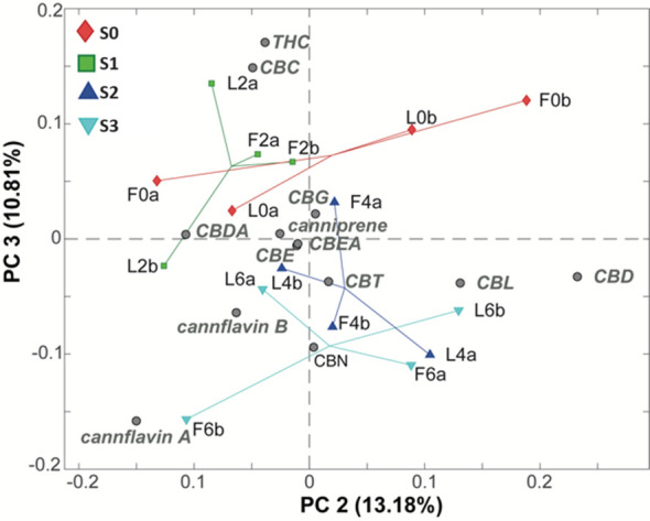 PC2/PC3 biplot of the PCA model of the LC-MS phytocannabinoids data. Samples are colored according to the water salinity. S0 samples (red diamonds), S1 samples (green squares), S2 samples (blue triangles), and S3 samples (cyano triangles).