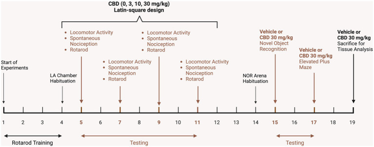 Schematic representation of the experimental study design on a timeline. After mice received DOX-containing chow for 1 month, mice were trained on the rotarod for 4 days and habituated to the locomotor activity chambers. Subsequently, vehicle and CBD doses (3, 10, 30 mg/kg) were administered in a Latin-square design over 4 days, with a minimum 48-h interval between testing days for CBD clearance. Locomotor activity (LA, 10 min) was conducted 60 min after injections, followed by assessment of spontaneous nociception, and lastly rotarod performance. Three days later mice were habituated (10 min) to the novel object recognition arena and trained and tested (each 10 min sessions) the following day in the novel object recognition (NOR) task, with vehicle or 30 mg/kg CBD injections being conducted after training but 60 min prior NOR testing. The elevated plus maze (EPM) task was conducted 2 days after NOR assessment with mice being injected with vehicle or 30 mg/kg CBD 60 min prior EPM testing (10 min). Two days later, mice were injected with vehicle or 30 mg/kg CBD and sacrificed 60 min post-injection for tissue analysis. LA, Locomotor activity; NOR, Novel object recognition. Figure created with BioRender.com.
