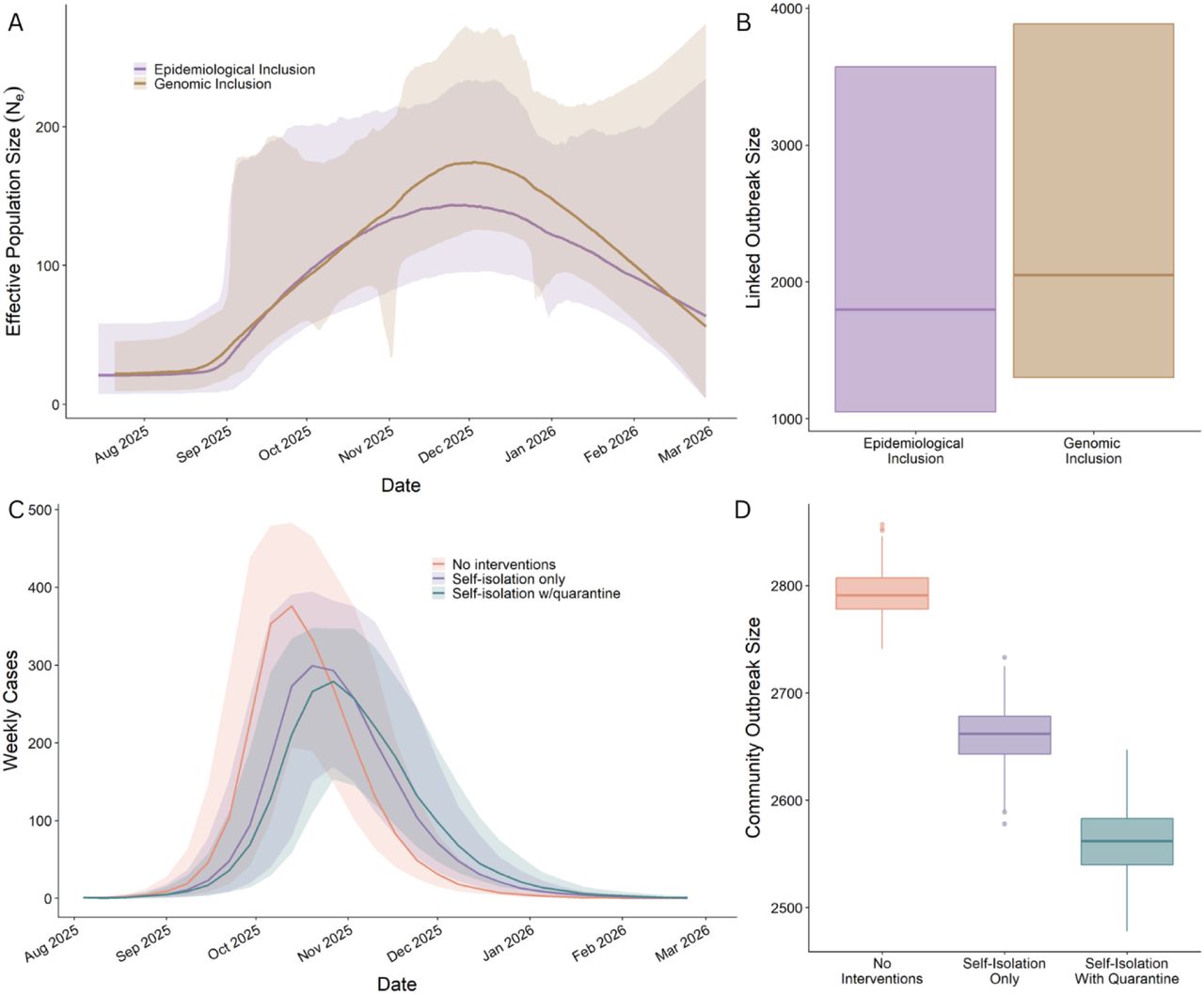 Estimates of Effective Population Size during the Utah-Arizona Border Measles Outbreak.A) Effective population size estimates from phylodynamic estimation are plotted over time starting from June 15, 2025, to February 28, 2026 (latest sampling date) for estimates from the epidemiological inclusion and the genomic inclusion. Central posterior densities are shaded in purple and gold for epidemiological and genomic inclusion, respectively. B) A boxplot showing the total outbreak size estimation from phylodynamic estimation for both epidemiological inclusion (purple) and genomic inclusion (gold). C) Estimated number of infections from the agent-based model plotted over time. Median (line) and interquartile range (shaded region) for estimates accounting for no interventions (red), self-isolation without quarantine (purple), and self-isolation with quarantine (green). D) A boxplot showing the total outbreak size estimation from the agent-based model for no interventions (red), self-isolation without quarantine (purple), and self-isolation (green).