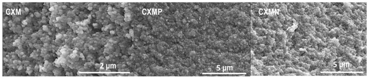 SEM micrographs for the internal structure of carbon xerogel microspheres (CXMs) and the CXMs functionalized with melamine (CXMN) and phosphoric acid (CXMP).