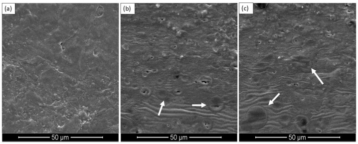 SEM micrographs of (a) neat PBS, (b) PBS-HSO0.5, and (c) PBS-HSO1 film cross-sections.