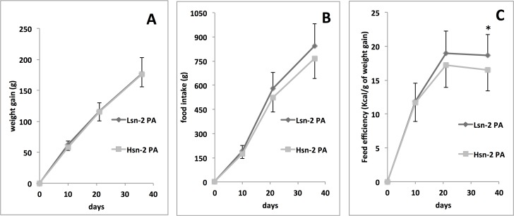 Weight gain (A), food intake (B) and feed efficiency (C) in rats fed Hsn-2 PA or Lsn-2 PA diet for 5 weeks.Feed efficiency is calculated as the amount of Kcal intake needed to gain 1 g of body weight. Therefore, to lower values correspond better feed efficiency. Weight of the animals was recorded weekly, food intake was recorded every 2 days. Values are means ± SD, n = 20. * P< 0.05.