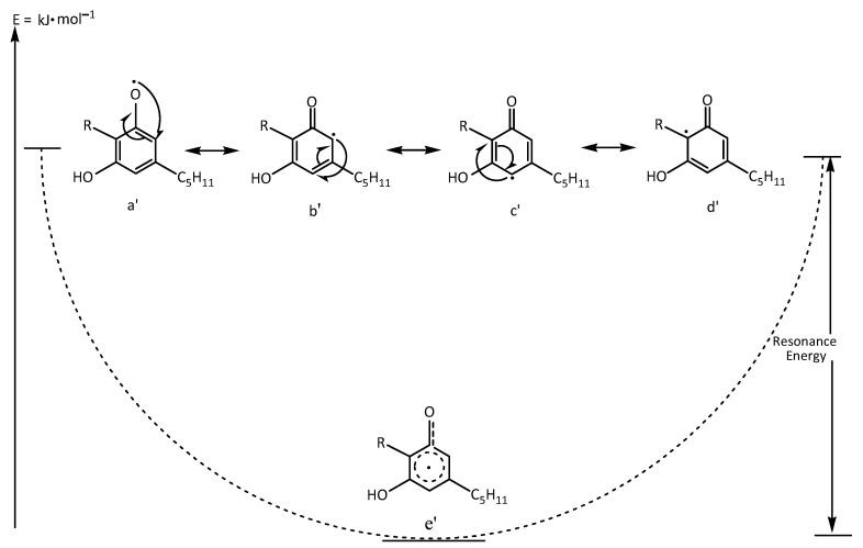 Resonance structures of the CBD showing the electron delocalistion of the instable radical resonance hybrid a′, b′, c′, d′ and the energy lowest stable structure of e′.