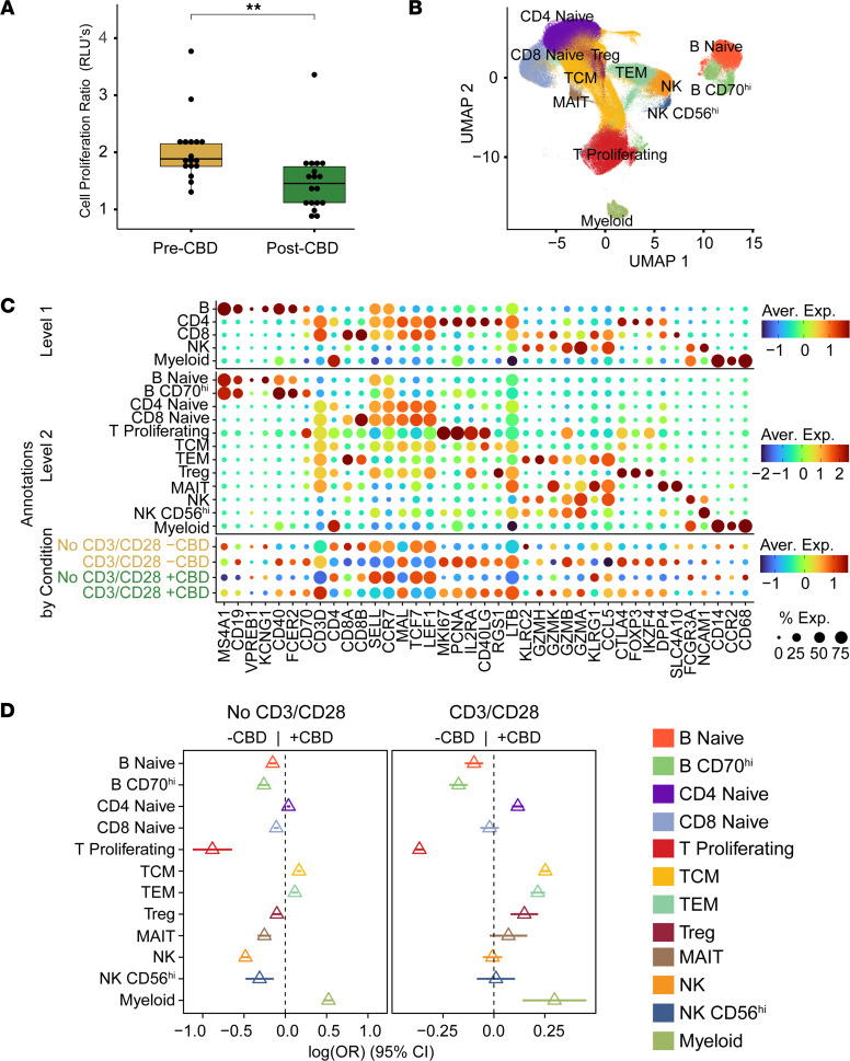 Molecular characterization of lymphocytes.Lymphocyte proliferation, annotation, and distribution were determined at pre- and post-CBD time points. (A) The CellTiter-Glo assay assessed cell viability at the pre-CBD (N = 17) and post-CBD (N = 18) time points. The proliferation ratio is the measured values of the stimulated (CD3/CD28) condition normalized to the No CD3/CD28 condition. Cell proliferation was reduced post-CBD (**P < 0.01 by 2-tailed t test). (B) UMAP with annotations from scRNA-Seq (N = 59) experiments at the pre-CBD and post-CBD time points for the CD3/CD28 and No CD3/CD28 conditions (321,327 cells displayed). Twelve cell type clusters were annotated: B naive, B CD70hi, CD4 naive, CD8 naive, T proliferating, T central memory (TCM), T effector memory (TEM), T regulatory (Treg), mucosal-associated invariant T (MAIT), natural killer (NK), natural killer CD56+ (NK CD56hi), and retained myeloid. (C) Canonical marker gene expression of PBMC types was used to annotate cell types. Three levels of annotation are provided: Level 1 includes B cells (MS4A1, CD19), CD4 lymphocytes (CD4), CD8 lymphocytes (CD8A, CD8B), NK cells (NCAM1), and myeloid cells (CD14, CCR2, and CD68). Level 2 annotations increased specificity with 12 cell types, including naive B, CD4 naive, CD8 naive, CD70hi, T proliferating, TCM, TEM, Treg, and MAIT. Dot size indicates the percentage of cells expressing each gene; color represents the average expression (log-normalized), from low (dark blue) to high (dark red). (D) Cell proportions changed between the pre-CBD and post-CBD time points in the No CD3/CD28 and CD3/CD28 conditions. An increase in TEM cells was observed post-CBD, while a decrease in B CD70hi and proliferating T lymphocytes was observed. Forest plots display the log2 odds ratio between time points across the level 2 annotations. For each cell type, the triangle marks the estimated difference in proportions between pre- and post-CBD time points, and the horizontal line depicts its 95% CI.