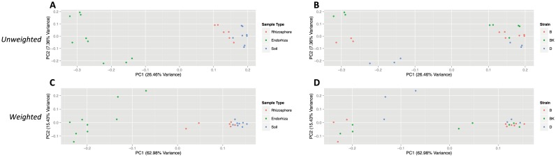 PCoA plots of microbial community similarity in first experiment for unweighted analysis (A–B) and weighted analysis (C–D).Plots for unweighted analysis are based on unweighted UniFrac distance, and demonstrate relationship between sample type (A), strain (B), and the major PC axes (PC 1 = 26.46% variance, PC 2 = 7.36% variance). Plots for weighted analysis are based on weighted UniFrac distances, and demonstrate relationship between sample type (C), strain (D), and the major PC axes (PC 1 = 62.98% variance, PC 2 = 15.43% variance). Abbreviations for strains are denoted by B (Burmese), BK (BooKoo Kush), and D (Sour Diesel).
