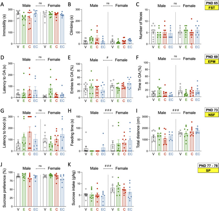 Affective-like state during adulthood following adolescent drug exposure. (A) Time spent immobile (s) or (B) climbing (s), and (C) number of feces in the forced swim test (FST) on PND 65. (D) Latency to open arms (OA) (s), (E) OA entries, and (F) time spent in OA (s) in the elevated plus maze test (EPM) on PND 69. (G) Latency to food (s), (H) feeding time (s), and (I) distance travelled (cm) in the novelty-suppressed feeding test (NSF) on PND 73. (J) Sucrose preference (%) and (K) sucrose intake (g/kg) in the sucrose preference test (SP) on PND 77–78. (A–K) Each set of data represents the mean ± SEM of the corresponding measurement at the indicated PND of study. Individual values are shown for each rat (symbols). Groups of treatment: vehicle-male (n = 9); ethanol-male (n = 9); cocaine-male (n = 9); ethanol + cocaine-male (n = 7); vehicle-female (n = 6); ethanol-female (n = 9); cocaine-female (n = 9); ethanol + cocaine-female (n = 8). One-way ANOVAs (independent variable: Treatment) were performed for each sex separately, and are detailed in Supplementary Table S1. The table also includes two-way ANOVAs analyses with Sex and Treatment as independent variables (Effect of Sex: ### p < 0.001 when comparing female vs male rats). V: vehicle; E: ethanol; C: cocaine; EC: combination.
