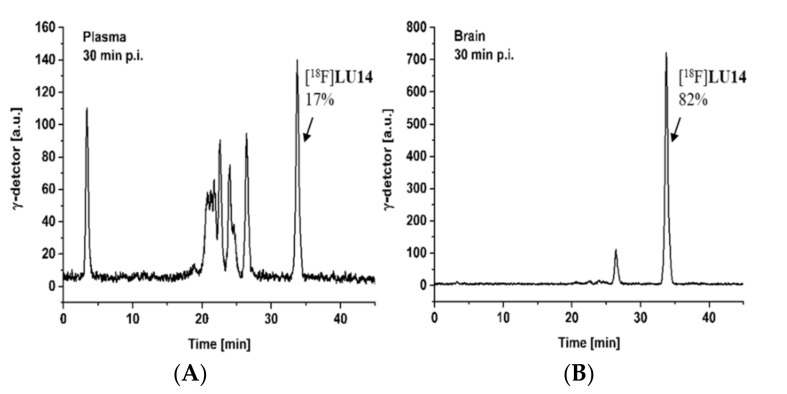 Analytical radio-HPLC chromatograms of the in vivo metabolism of [18F]LU14 at 30 min p.i. (A) Plasma samples [extraction with MeOH/H2O (9:1); extraction yield: 91%] and (B) brain homogenates [extraction with MeOH/H2O (9:1); extraction yield: 97%]. HPLC conditions: Reprosil-Pur C18-AQ (250 × 4.6 mm; 5 µm); gradient mode (10-90-10% CH3CN/20 mM NH4OAc aq.).