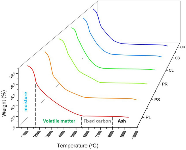 Thermogravimetric analyses of samples obtained from seed and callus culture.