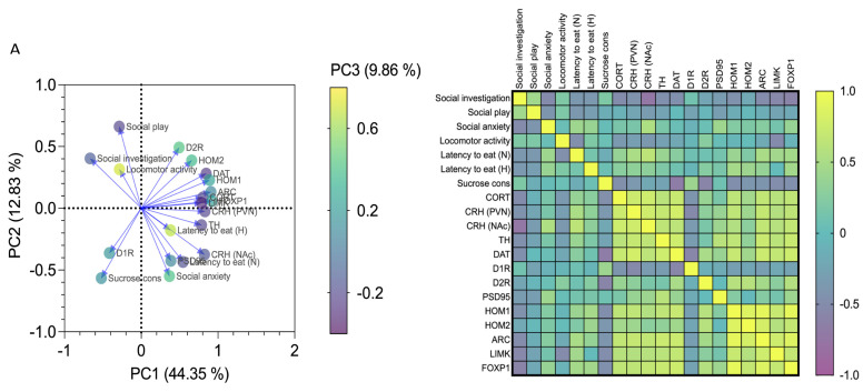 Affective and emotional behaviours in binge-like alcohol-exposed rats correlate with neuroendocrine stress response and transcriptional alterations in the NAc. (A) Loading-factor graph of principal component analysis shows how alterations of neuroendocrine stress response and protein expression at both presynaptic and postsynaptic levels in the NAc co-variate with affective end emotional behaviour observed in binge-like alcohol-exposed rats during adolescence. (B) The correlation matrix shows that altered affective and emotional behaviours correlate with neurobiological changes.