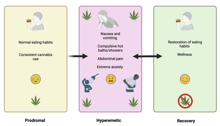 Phases of cannabinoid hyperemesis syndrome with associated clinical findings.Original image created by the authors using data from sources [23,27].