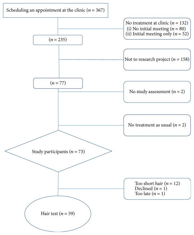 Flow chart of participants in the study.