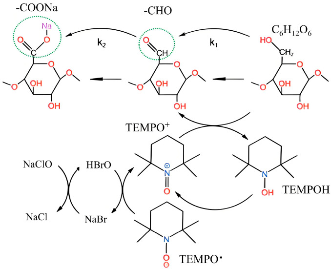 Mechanism of selective oxidation of cellulose by the TEMPO system.
