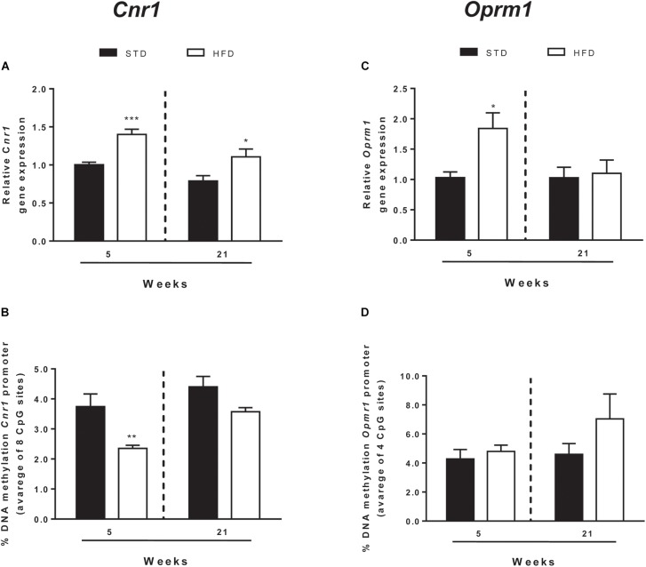 Cnr1 and Oprm1 transcriptional regulation. Cnr1 relative gene expression (A) and DNA methylation at gene promoter (B) and Oprm1 relative gene expression (C), and DNA methylation at gene promoter (D) analyzed in the hypothalamus of rats exposed for 5 and 21 HFD and/or STD Gene expression data are reported as 2-DDCt values calculated by Delta–Delta Ct (DDCt) method vs. STD (5 weeks) posed equal to 1. DNA methylation data are presented as the mean of the methylation % values of individual CpG sites under study as well as of the average (Ave) of the eight CpG sites ± SEM. ∗∗∗P < 0.001, ∗∗P < 0.01, ∗P < 0.05 vs. STD.