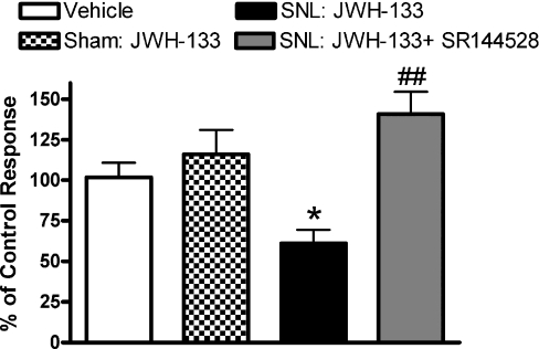 Intrathalamic administration of the CB2 receptor agonist JWH-133 inhibited spontaneous activity of VPL neurons in SNL rats. JWH-133 (30 ng in 500 nL, intra-VPL) was administered alone or in combination (single infusion) with the CB2 receptor antagonist SR144528 (48 ng). Data were analysed using Kruskall–Wallis test followed by Dunn's post hoc test. *P < 0.05 vs. pooled vehicle, ##P < 0.05 vs. SNL: JWH-133 (n = 36–75 neurons in five or six rats per data set). Vehicle treatment data from sham and SNL rats were not statistically different and were pooled for clarity of presentation.