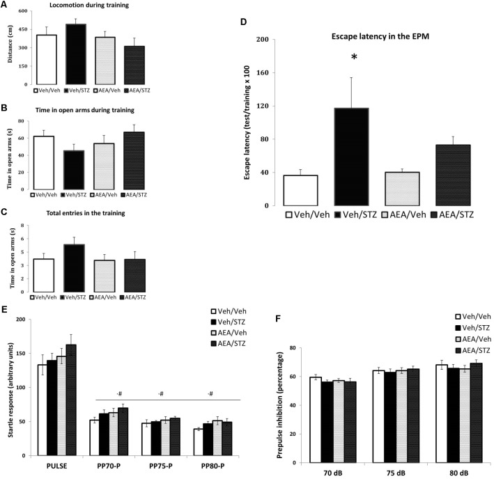 Performance of Wistar rats icv-treated with AEA and/or STZ (Veh/Veh, Veh/STZ, AEA/Veh, and AEA/STZ) in anxiety (A–C) and memory (D) parameters in the escape latency test in the EPM 30 days after treatment and in startle (E) and prepulse inhibition responses (F). (A) Distance (in cm), (B) time spent in open arms and (C) the number of total entries during the training session, represented as means ± S.E.M. (n = 56 animals per group). No differences were detected between groups (one-way ANOVA). (D) Percentage of the time needed to enter in one closed arm in the test session compared to training, represented as means ± S.E.M. (n = 11–12 animals per group. ∗p < 0.05, Veh/STZ is different from Veh/Veh (repeated measures ANOVA, followed by Duncan’s post-test). (E) Startle response after a tone stimulus of 120 dB (pulse) preceded or not by a tone stimulus of 70, 75, or 80 dB (prepulse) presented in a pseudorandomic manner, represented as means ± S.E.M. (n = 7–10 animals per group). #p ≤ 0.05, ASR response with pulse preceded prepulse of 70, 75, and 80 dB was lower than pulse alone (repeated measures ANOVA, followed by Duncan’s post-test). (F) Percentage of inhibition of startle response caused by the prepulse + pulse (prepulse inhibition) compared with the response to the pulse alone represented as means ± S.E.M. (n = 7–10 animals per group). No differences were found between treatments.
