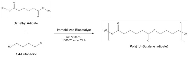 Example of enzymatic polycondensation reaction. Equimolar amounts of diesters and diols and 10% of the immobilized enzyme (1% w w−1 enzyme/beads) react at different temperatures at 1000 mbar for 6 h to form oligomers and then at 20 mbar for 18 h to combine and elongate the polymer chains. In the figure, for instance, dimethyl adipate and 1,4-butanediol catalyzed by the immobilized enzyme yield poly(1,4-butylene adipate).