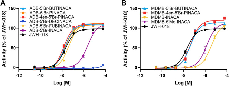 Concentration–response curves for the activation of the CB1 receptor by A six tert-leucinamide SCRAs with a bromine at the 5 position on the indazole core and different tail moieties and B four tert-leucine methyl ester SCRAs with a bromine or methyl group at the 5 position on the indazole core and different tail moieties. MDMB-INACA is included for comparison of the tert-leucine methyl ester SCRAs and JWH-018 is included as a reference for both. Error bars indicate SEM