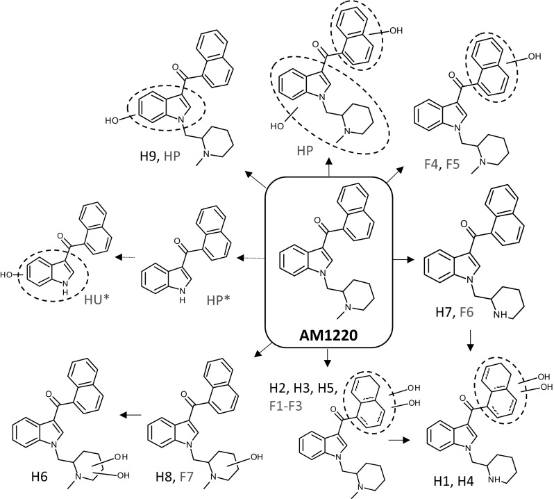Proposed metabolic pathway of AM1220 in HLM and fungus C. elegans incubation in comparison with postmortem human data from the literature [10]. HP and HU refer to human plasma and human urine samples, while asterisk indicates that the origin of the metabolite is not confirmed to be AM1220. The exact positions of hydroxy groups in F4/F5 and H9 and dihydrodiol groups in F1–F3 and H1–H5 were not determined