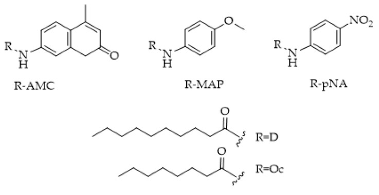 Structures of p-nitroaniline (R-pNA), 5-amino-2-methoxypyridine (R-MAP), and 7-amino-4-methylcoumarin (R-AMC) containing substrates of FAAH. D = decanoyl; Oc = octanoyl.