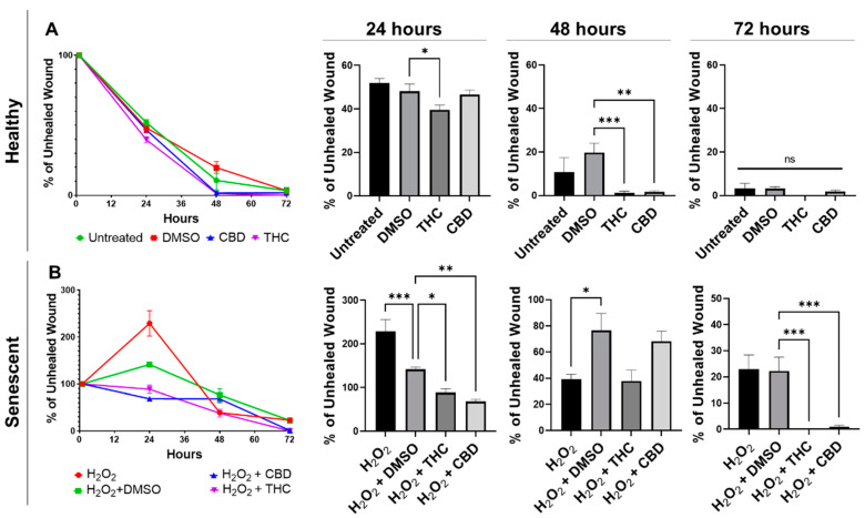 Phytocannabinoids improve wound healing in healthy and SIPS CCD-1064Sk (PDL 24) human dermal fibroblasts. (A) Percentage of the unhealed wounds at 24, 48, and 72 h after the scratch assay was performed with healthy dermal fibroblasts exposed to 2 µM of THC or CBD. (B) Percentage of the unhealed wounds at 24, 48, and 72 h after the scratch assay was performed with SIPS dermal fibroblasts exposed to 2 µM of THC or CBD. Data were analyzed with an ANOVA test followed by a Dunnett’s post-hoc multiple comparison test compared to the vehicle. Bars represent mean ± SEM, n = 6. Significance is indicated using the following scale: * p < 0.05, ** p < 0.01, *** p < 0.001. CBD, cannabidiol; DMSO, dimethyl sulfoxide (vehicle); SIPS, stress-induced premature senescence; THC, delta-9-tetrahydrocannabinol.
